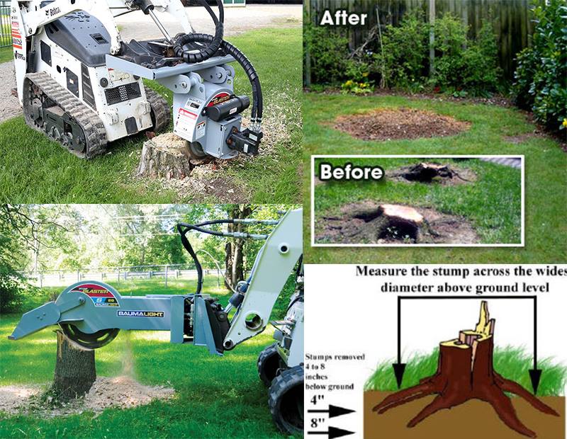 tree stump removal services