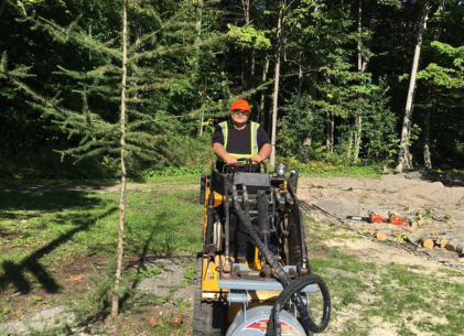 Tree Stump Grinding & Removal Costs 2024: A Best Popular Price